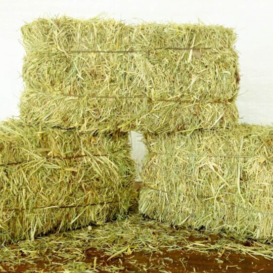 Hay Bales