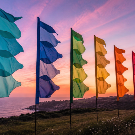 Festival Flags - New Leaf