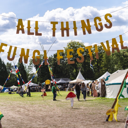 All Things Fungi Festival 2025 - Basic Bell Tent Hire